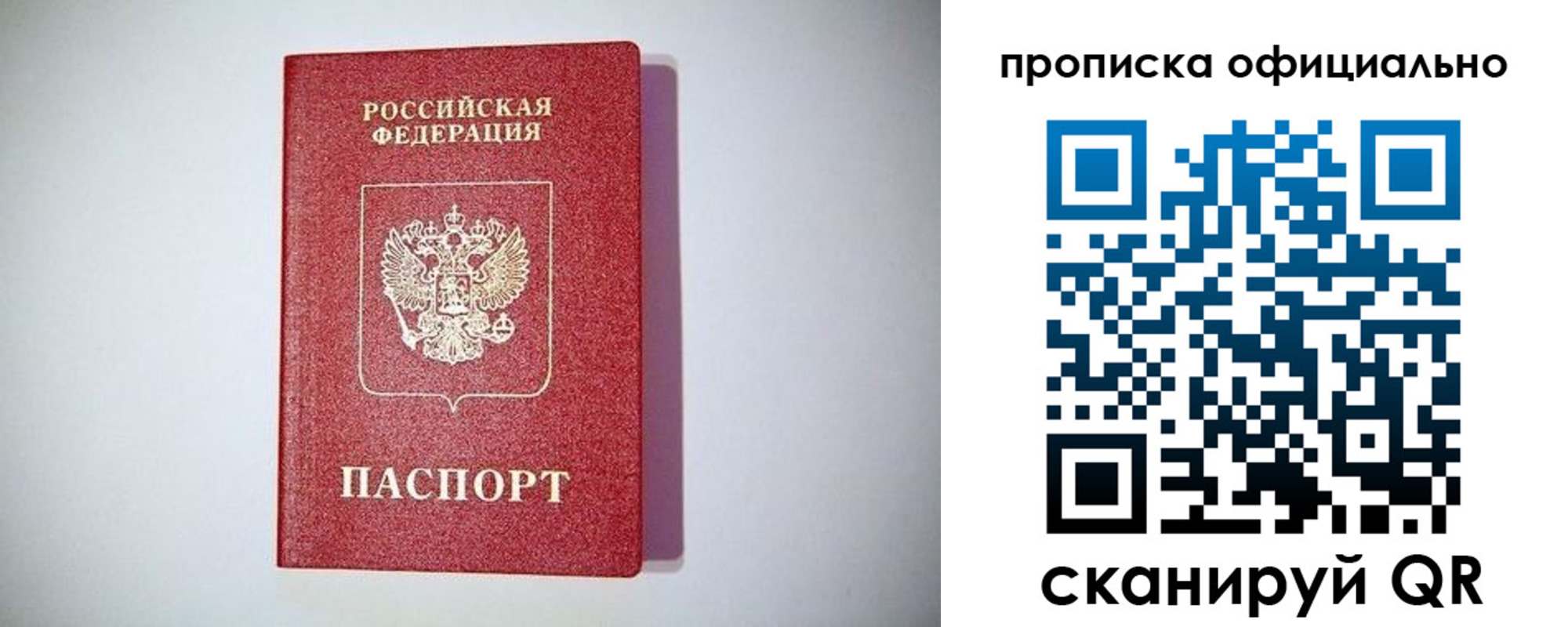 прописка в Шебекино